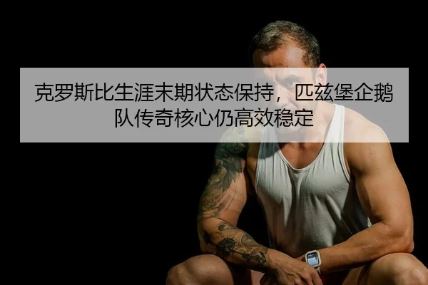 ke-luo-si-bi-sheng-ya-mo-qi-zhuang-tai-bao-chi-pi-zi-bao-qi-e-dui-chuan-qi-he-xin-reng-gao-xiao-wen-ding-2-104.jpg